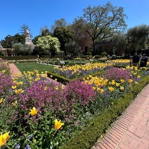 Meet your Posher, Tracey